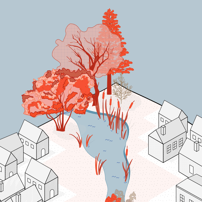 Schema Composantes 1