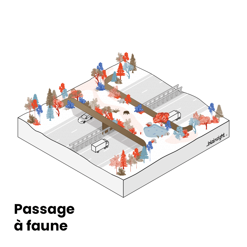 Schema Composantes 5