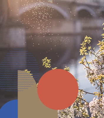 Bioinsight Urbanisme et Environnement